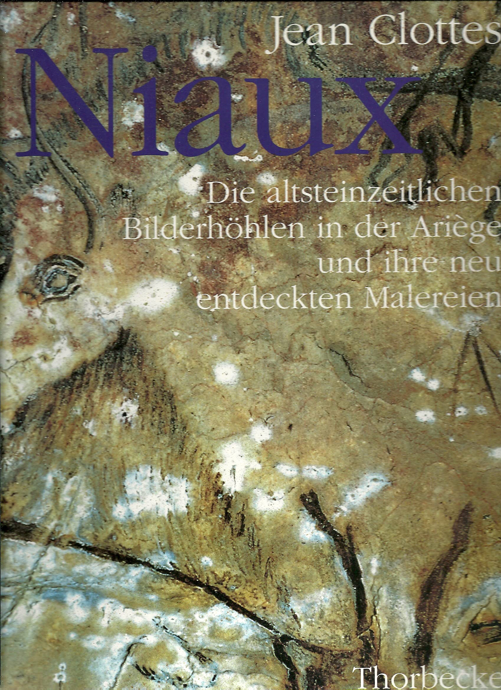 Niaux: Die altsteinzeitlichen Bilderhöhlen in der Ariège Film, Art & Culture
