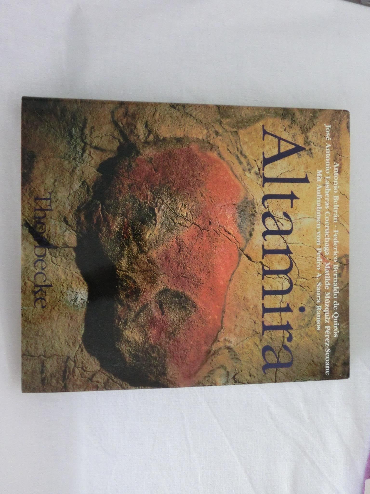 Altamira: Hrsg. u. Vorw. v. Gerhard Bosinski. Film, Art & Culture