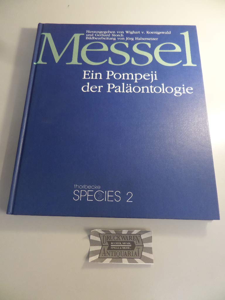 Messel. Ein Pompeji der Paläontologie Business & Technology