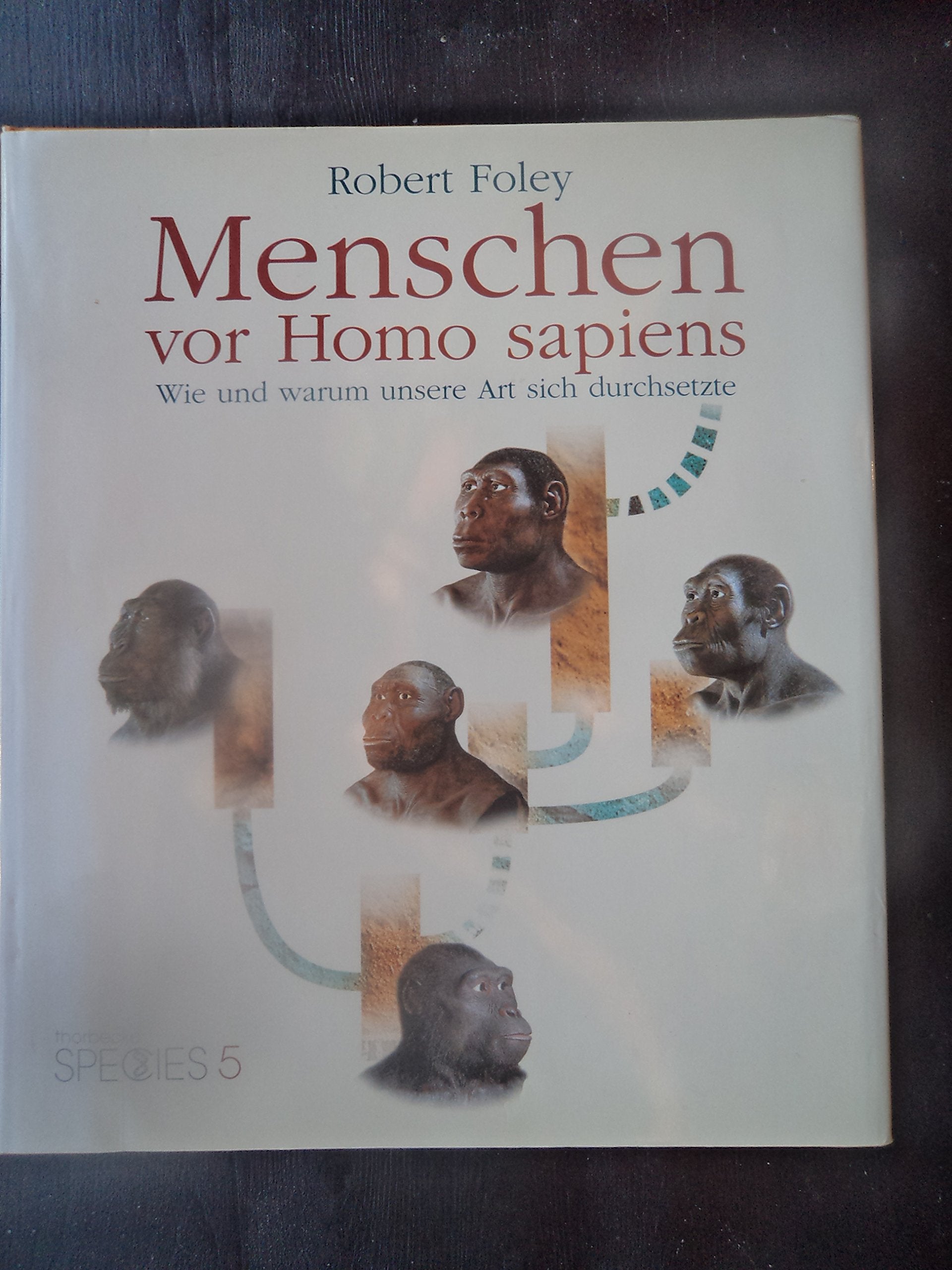 Menschen vor Homo sapiens: Wie und warum unsere Art sich durchsetzte Business & Technology