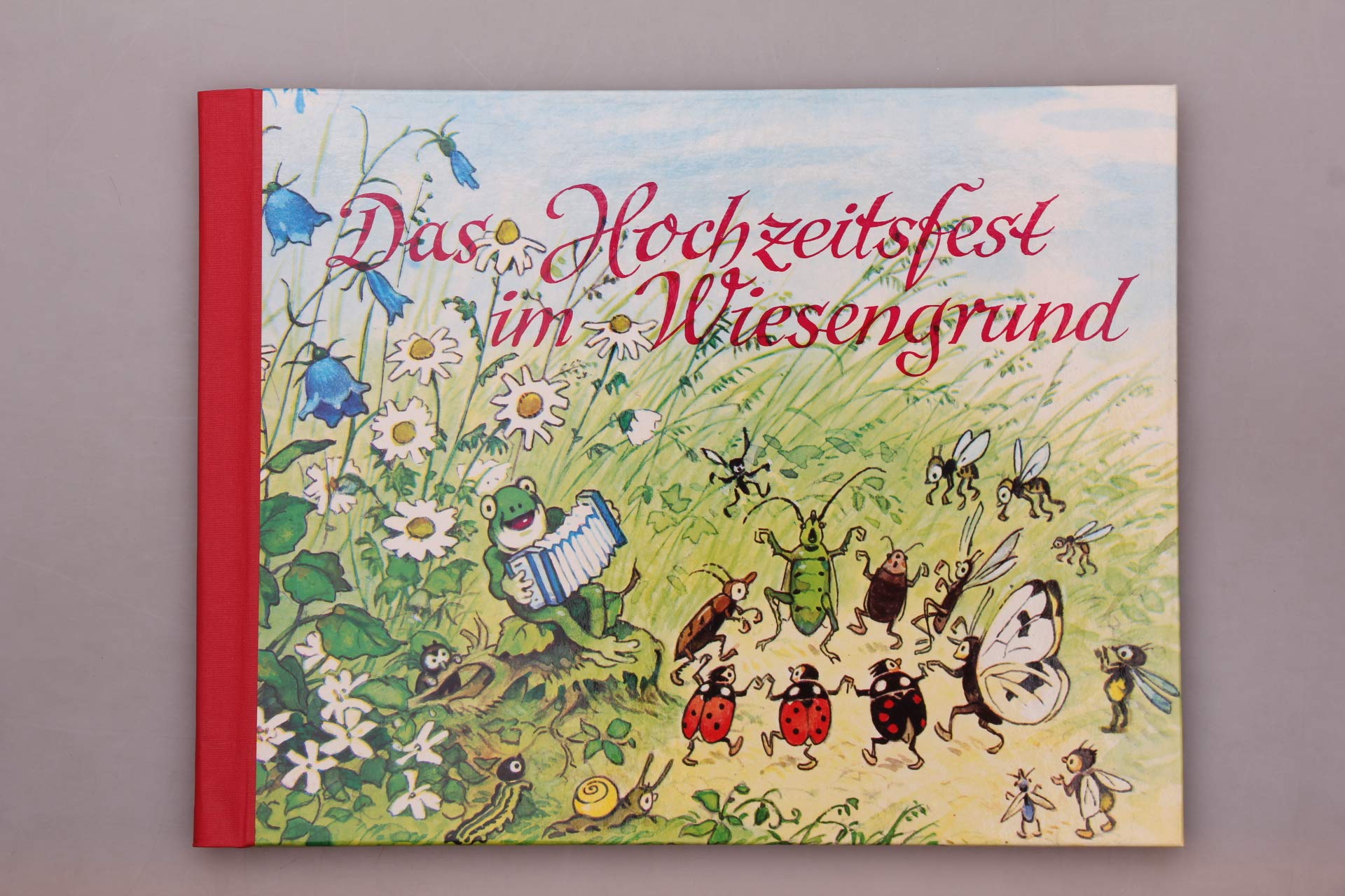 Das Hochzeitsfest im Wiesengrund Children's books