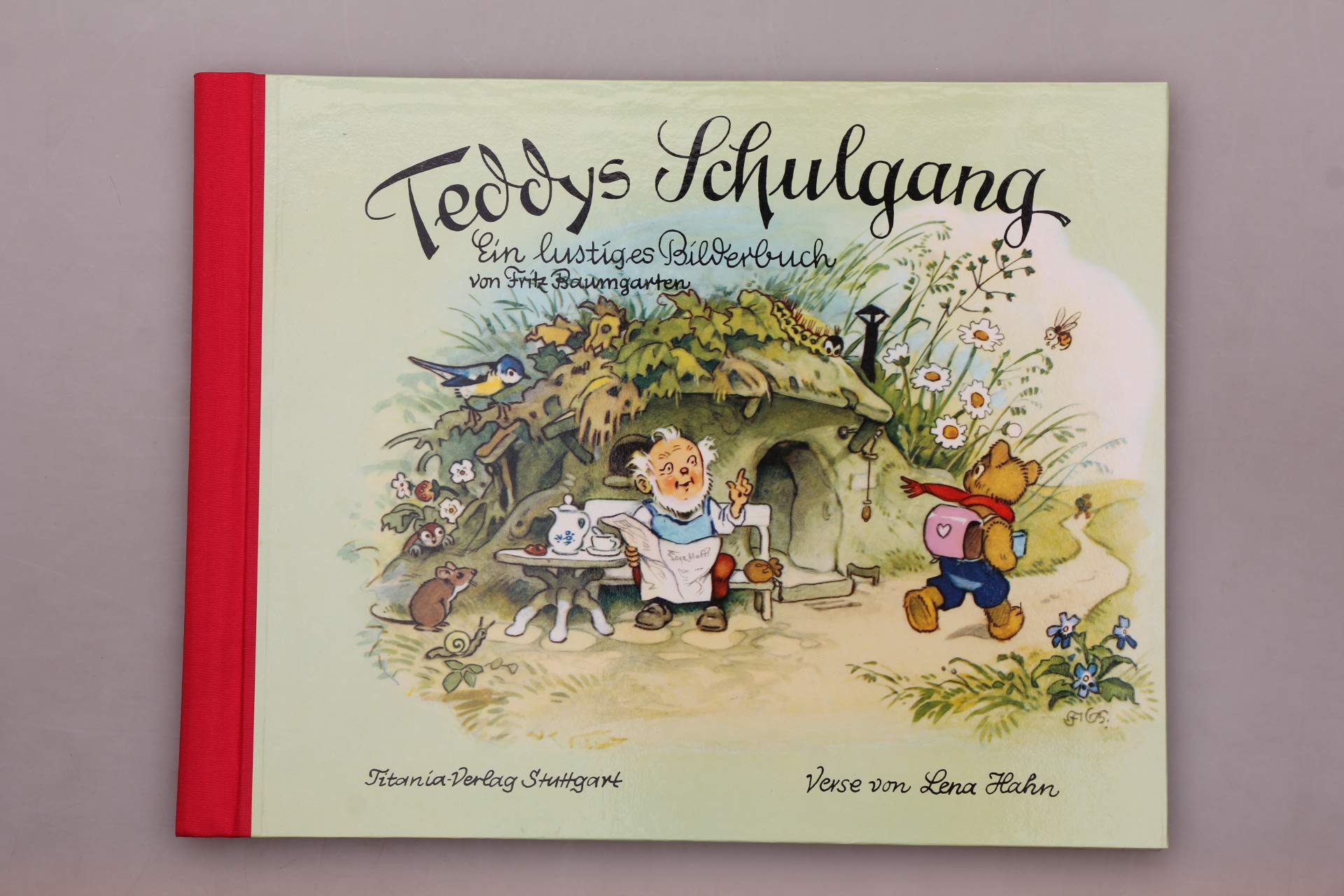 Teddys Schulgang Non-fiction books for kids