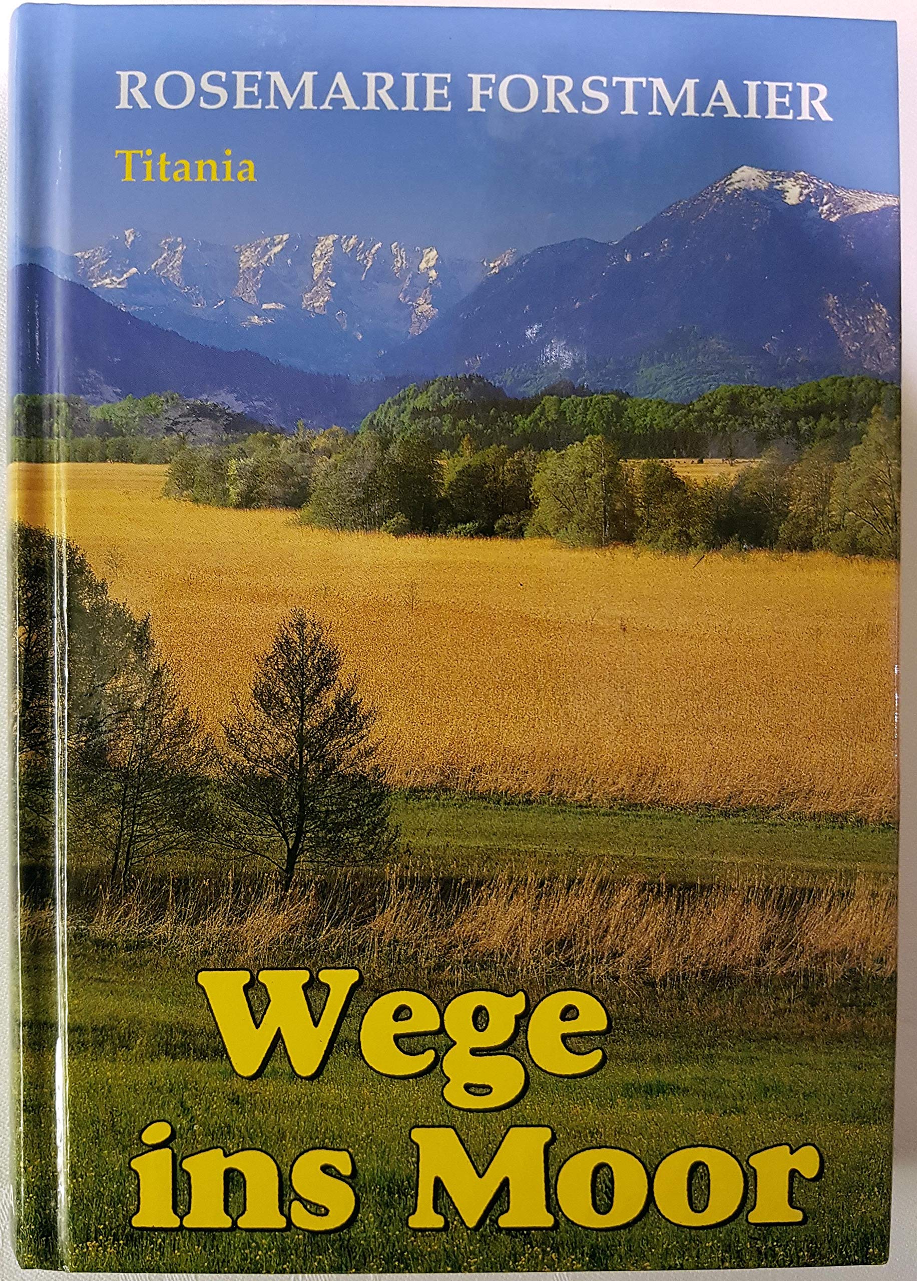 Wege ins Moor: Ein Bauernroman Fiction