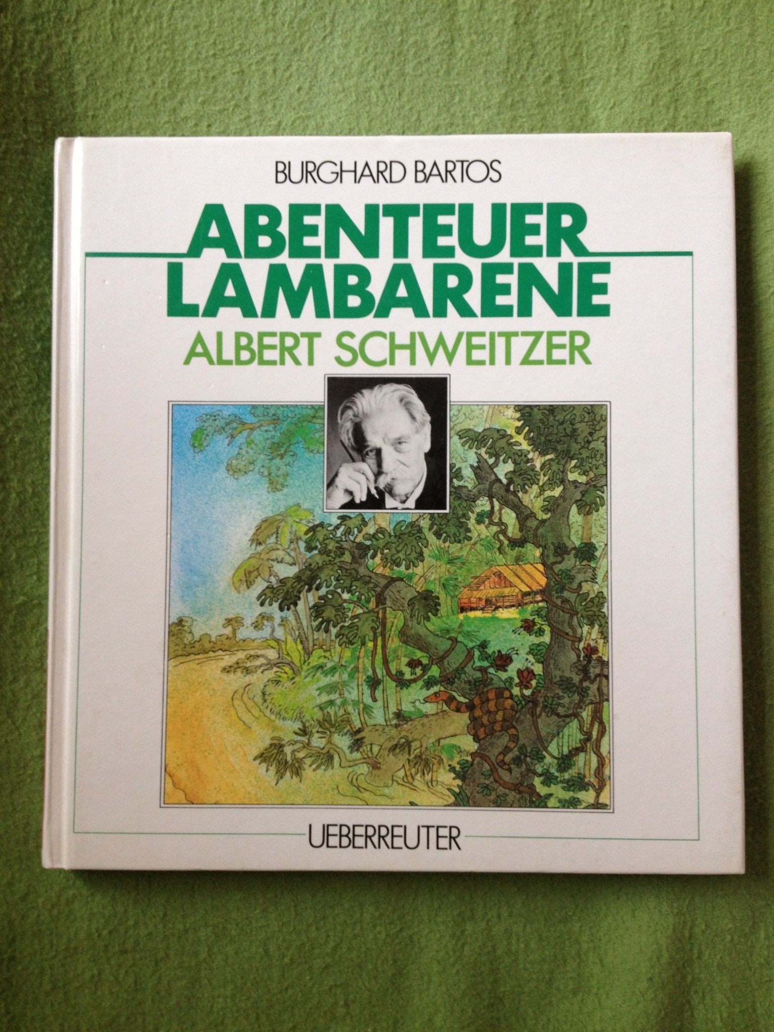 Abenteuer Lambarene: Albert Schweitzer Politics & Society Books