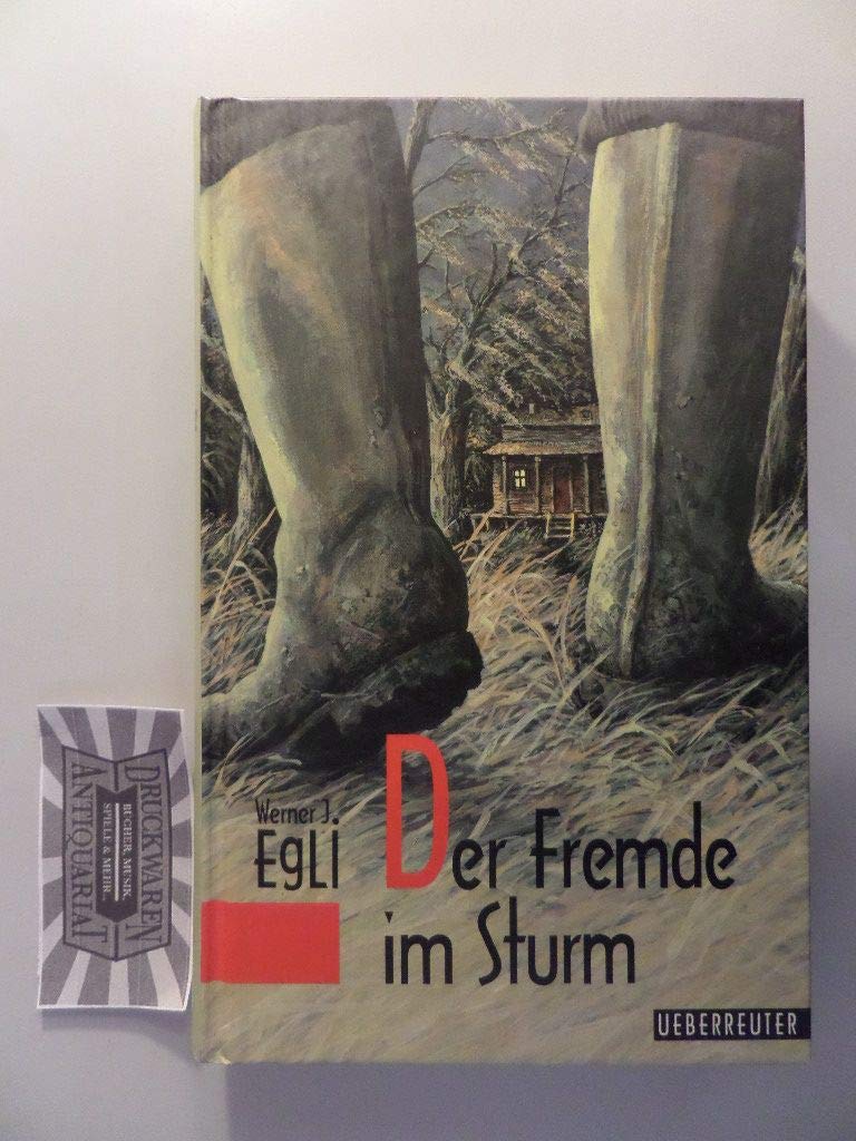 Product Image: Der Fremde im Sturm
