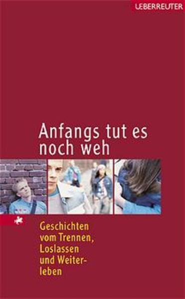 Anfangs tut es noch weh: Geschichten vom Trennen, Loslassen und Weiterleben Books