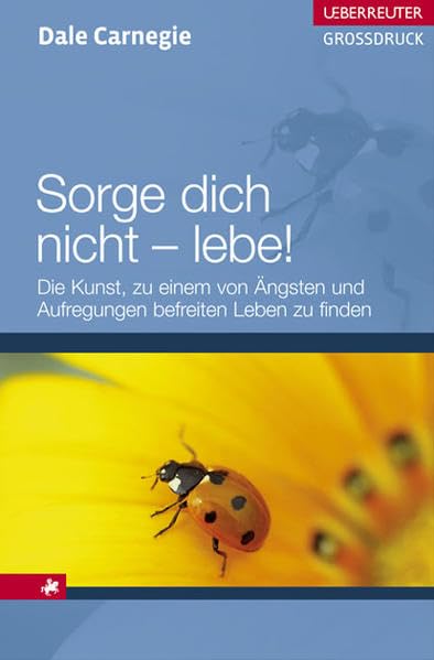Sorge dich nicht - lebe!: Die Kunst, zu einem von Ängsten und Aufregungen befreiten Leben zu finden (Ueberreuter Grossdruck) Lifestyle