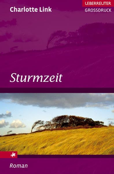 Sturmzeit (Ueberreuter Grossdruck) Contemporary literature