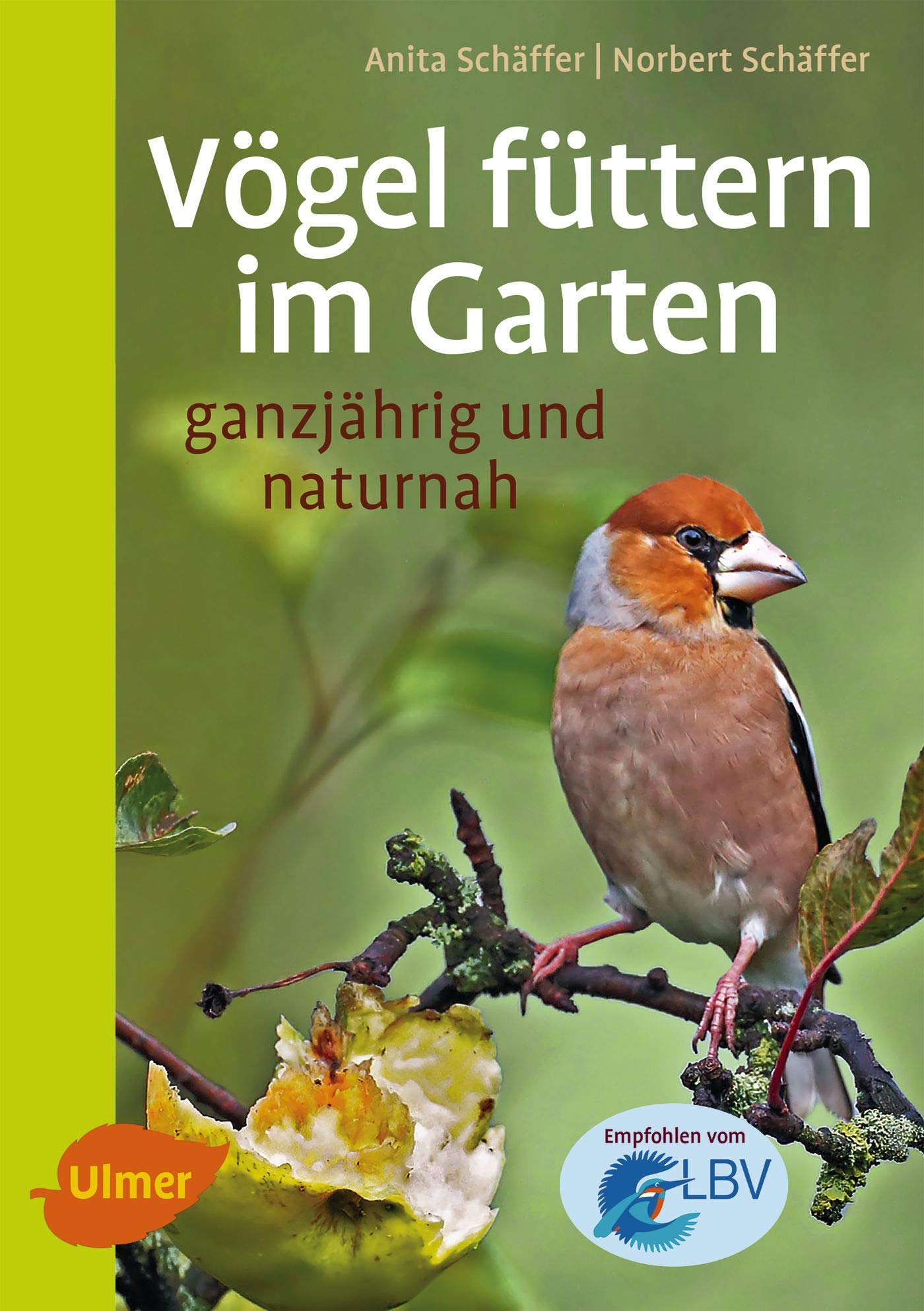 Product Image: Vögel füttern im Garten