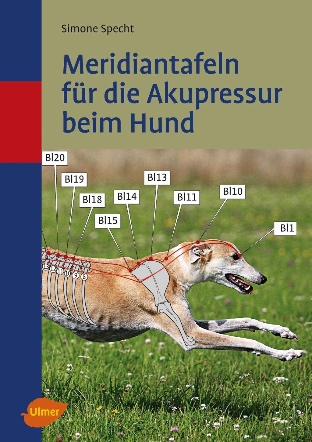 Meridiantafeln für die Akupressur beim Hund Medicine