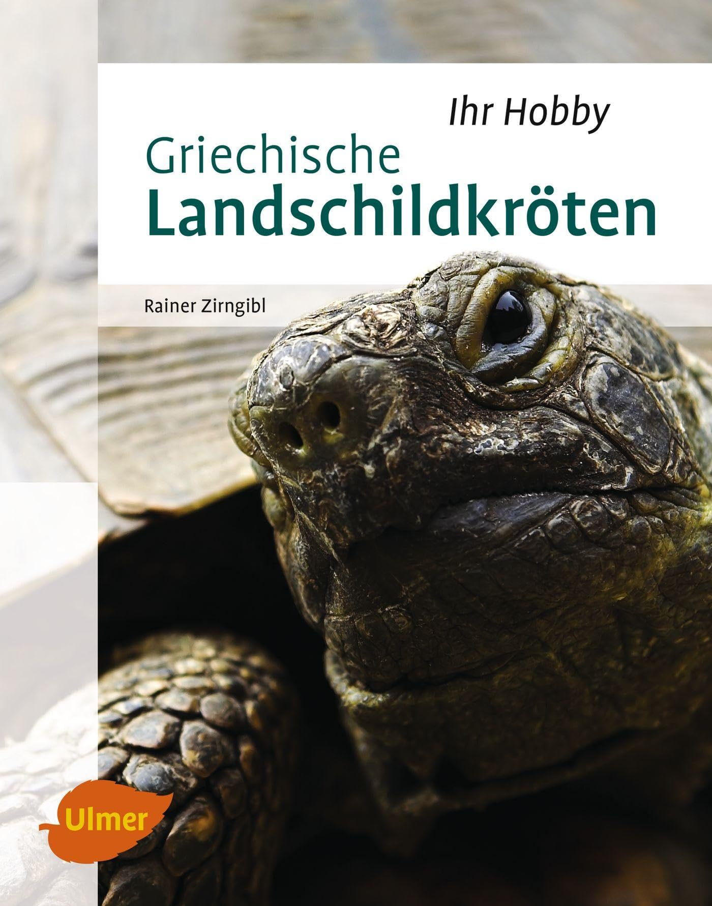 Griechische Landschildkröten (Ihr Hobby) Pets