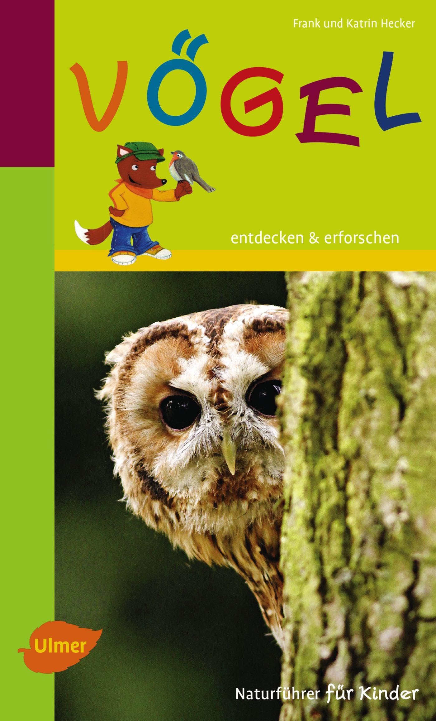 Naturführer für Kinder: Vögel: Entdecken und erforschen Leisure, Home & Garden