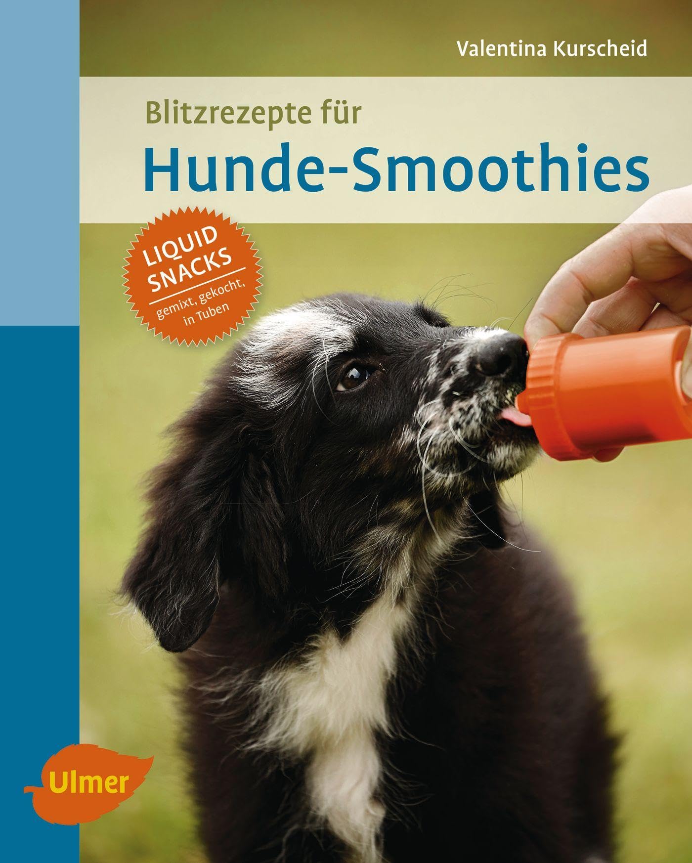 Blitzrezepte für Hunde-Smoothies: Liquid Snacks – gemixt, gekocht, in Tuben Pets