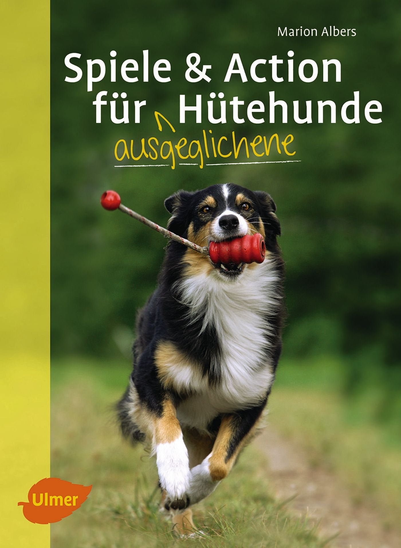 Spiele und Action für ausgeglichene Hütehunde: Border Collie, Australian Shepherd und Co. rassegerecht auslasten Pets