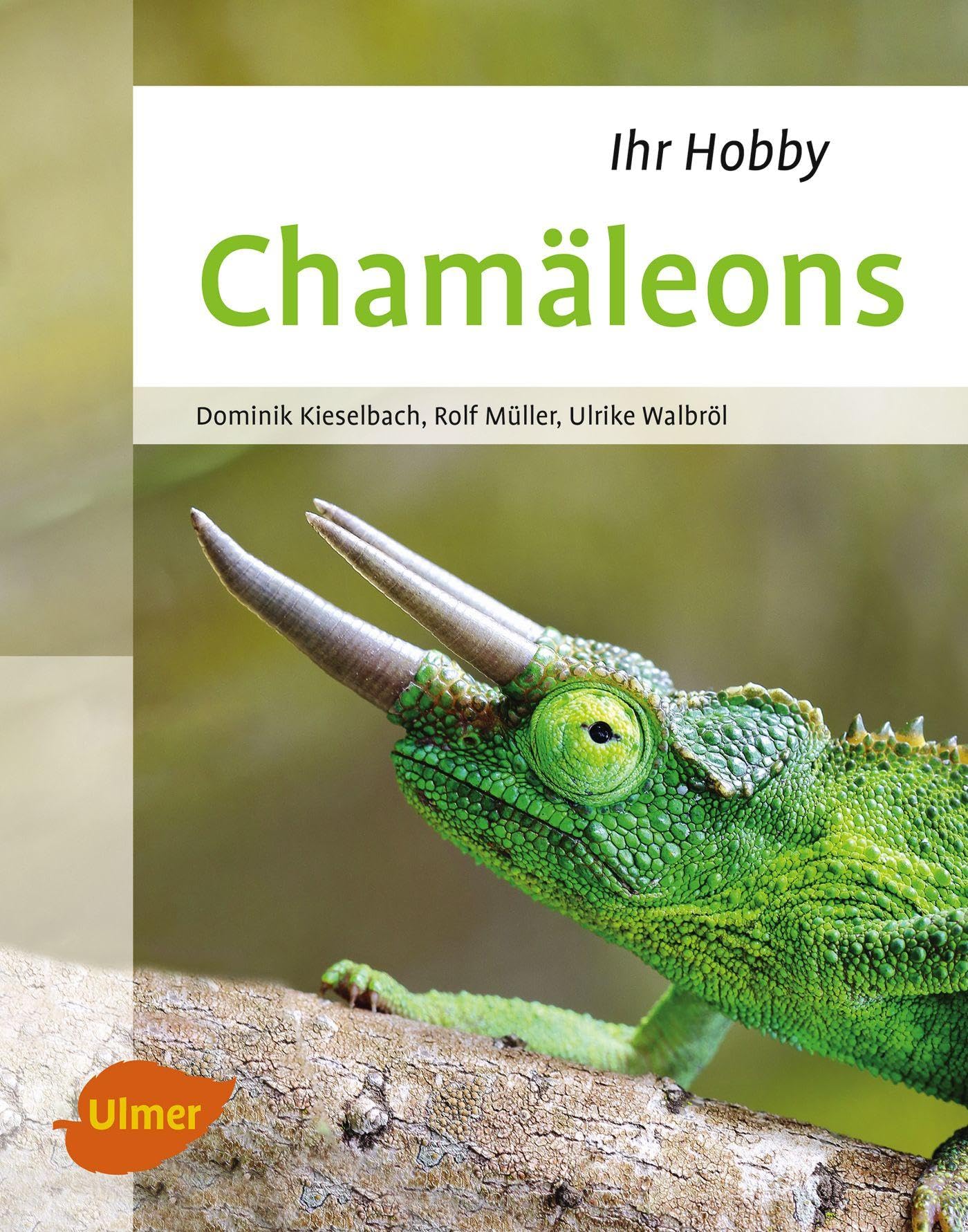 Chamäleons Pets