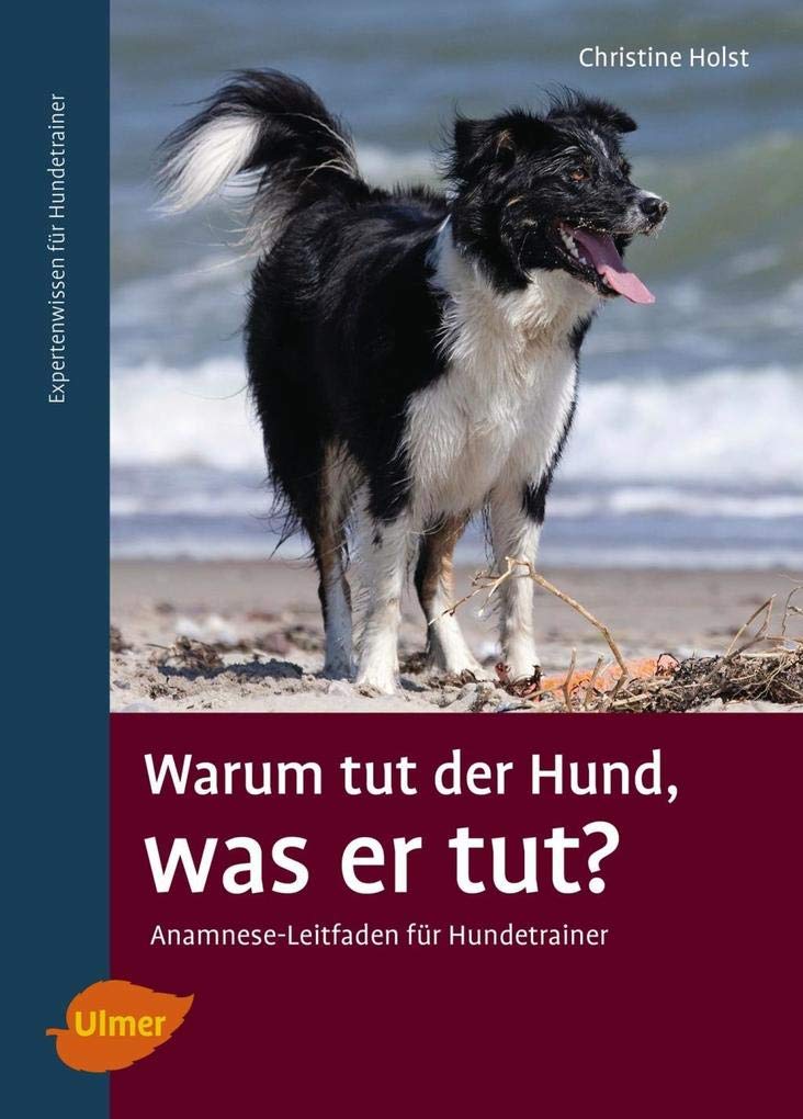 Warum tut der Hund, was er tut? Pets