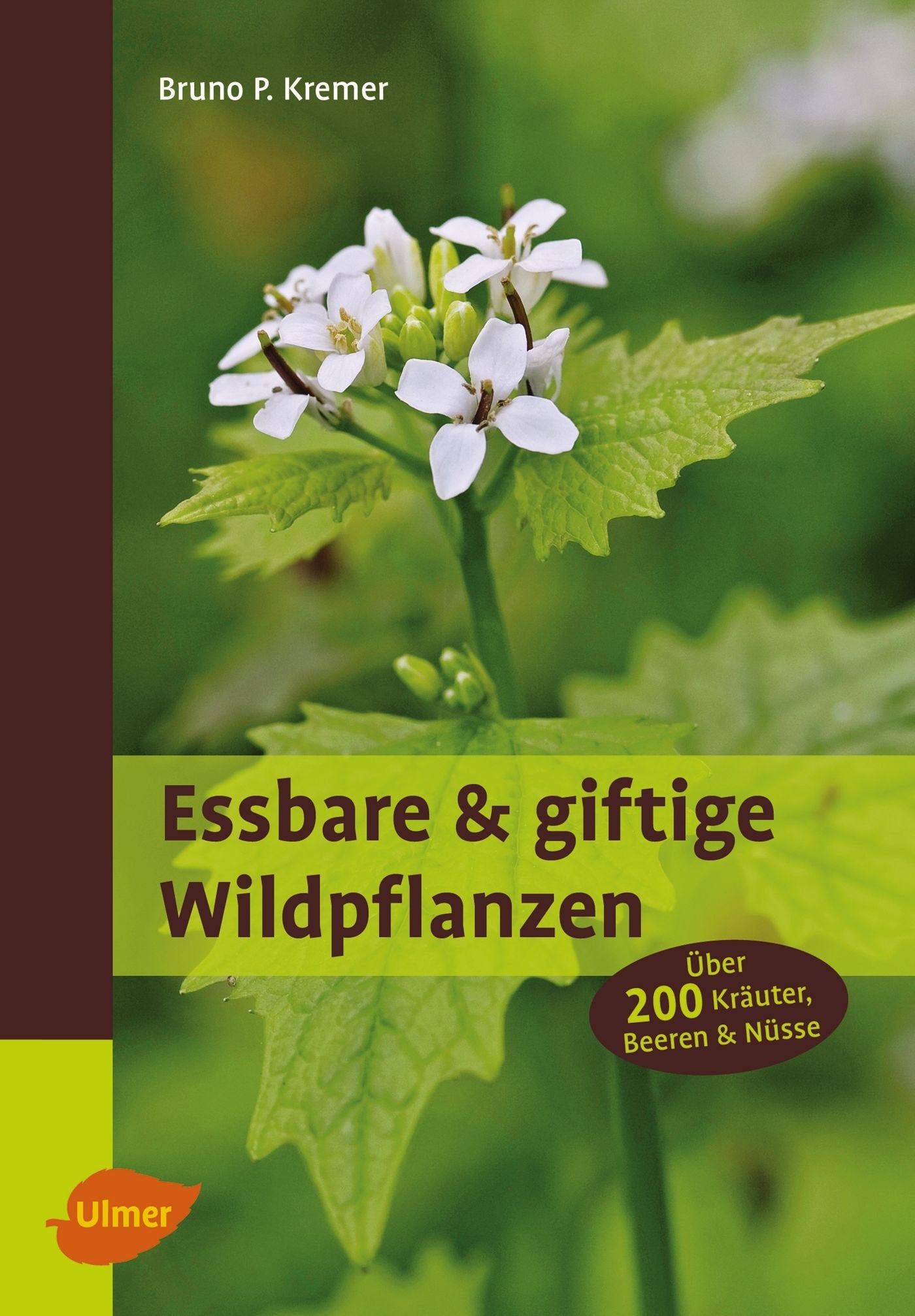 Essbare und giftige Wildpflanzen Film, Art & Culture