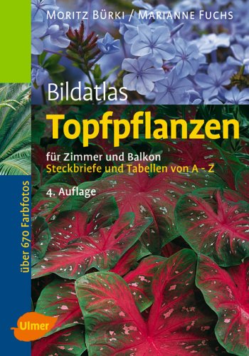 Bildatlas Topfpflanzen für Zimmer und Balkon: Steckbriefe und Tabellen von A - Z (Bildatlanten) Garden & Plants