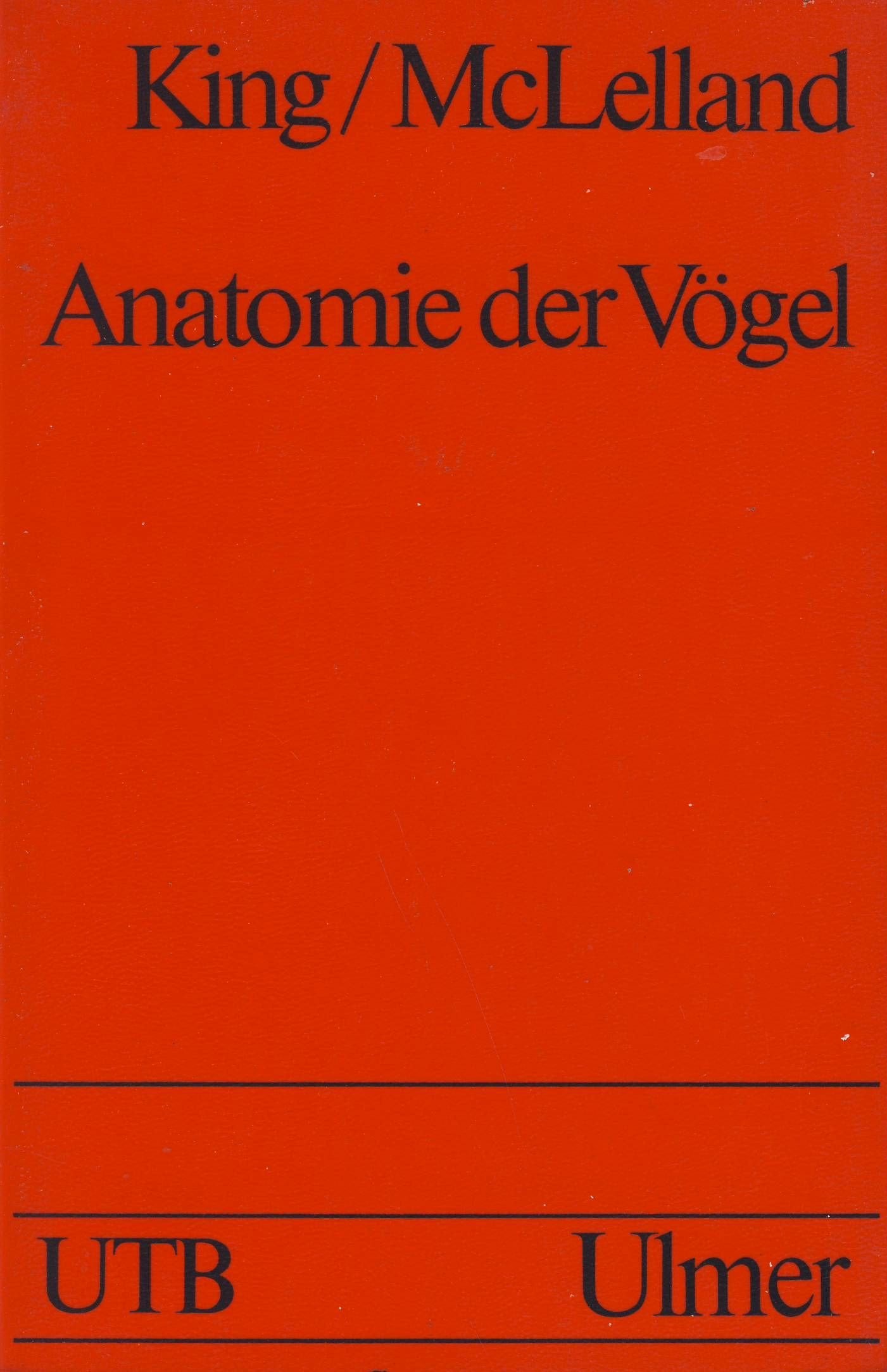 Product Image: Anatomie der Vögel.