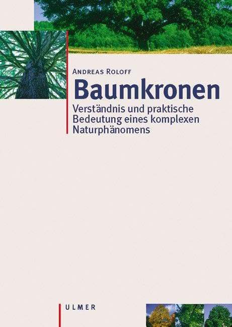 Baumkronen: Verständnis und praktische Bedeutung eines komplexen Naturphänomens: Verständnis, Zusammenhänge und Anwendung Natural Sciences