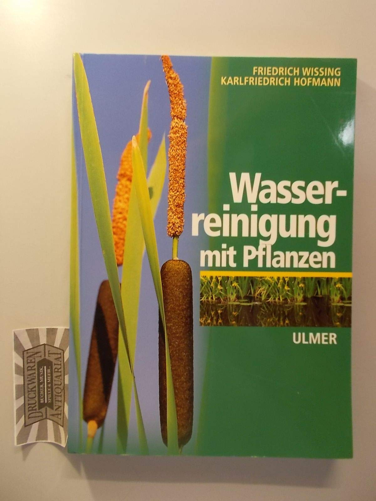 Wasserreinigung mit Pflanzen Garden & Plants