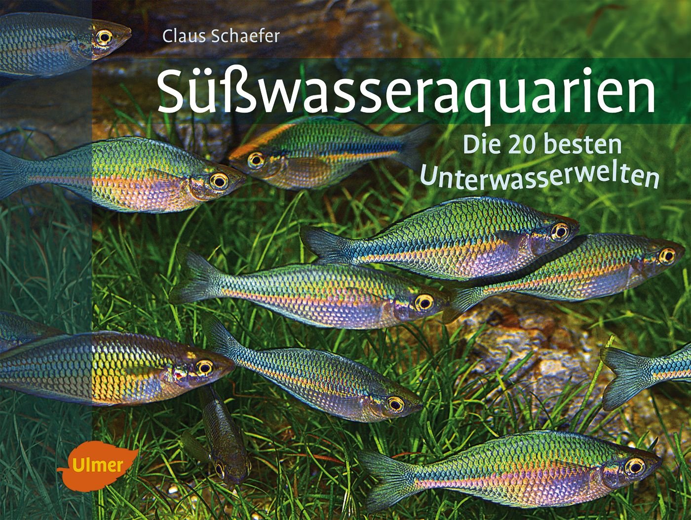 Product Image: Süßwasseraquarien
