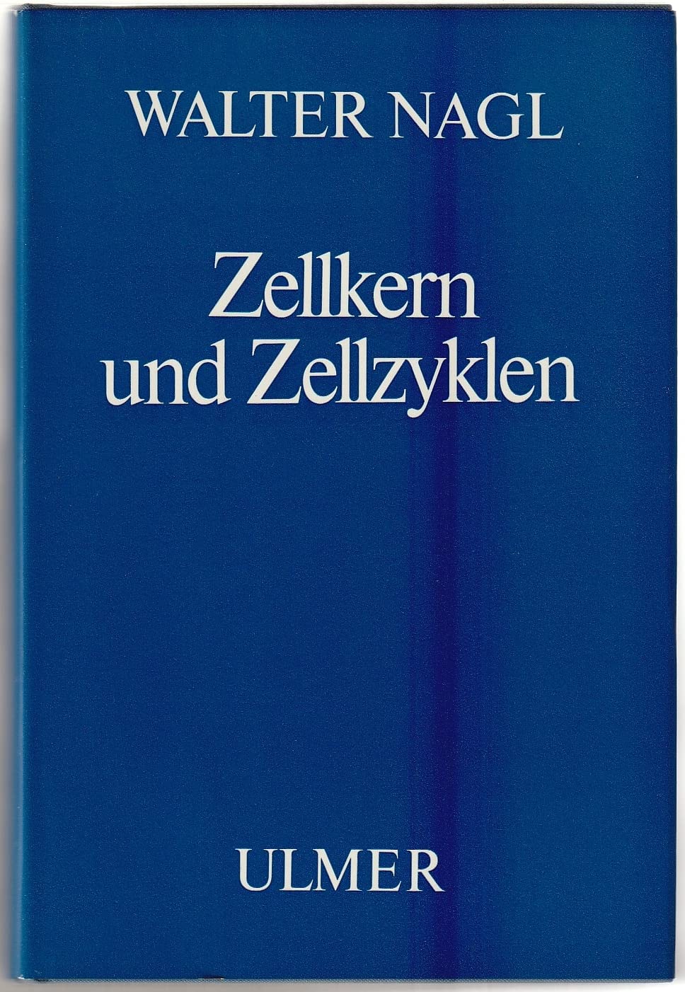 Zellkern und Zellzyklen (Phytologie) Business & Technology