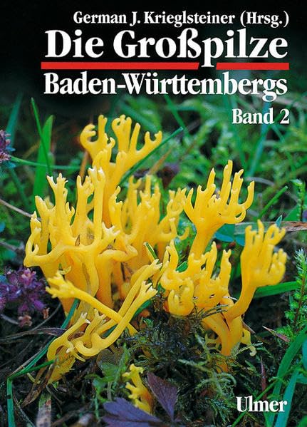 Die Grosspilze Baden-Württembergs: Die Großpilze Baden-Württembergs, Bd.2, Ständerpilze: Leisten-, Keulen-, Korallen- und Stoppelpilze, Bauchpilze, ... Bauchpilze, Röhrlings- und Taublingsartige Leisure, Home & Garden