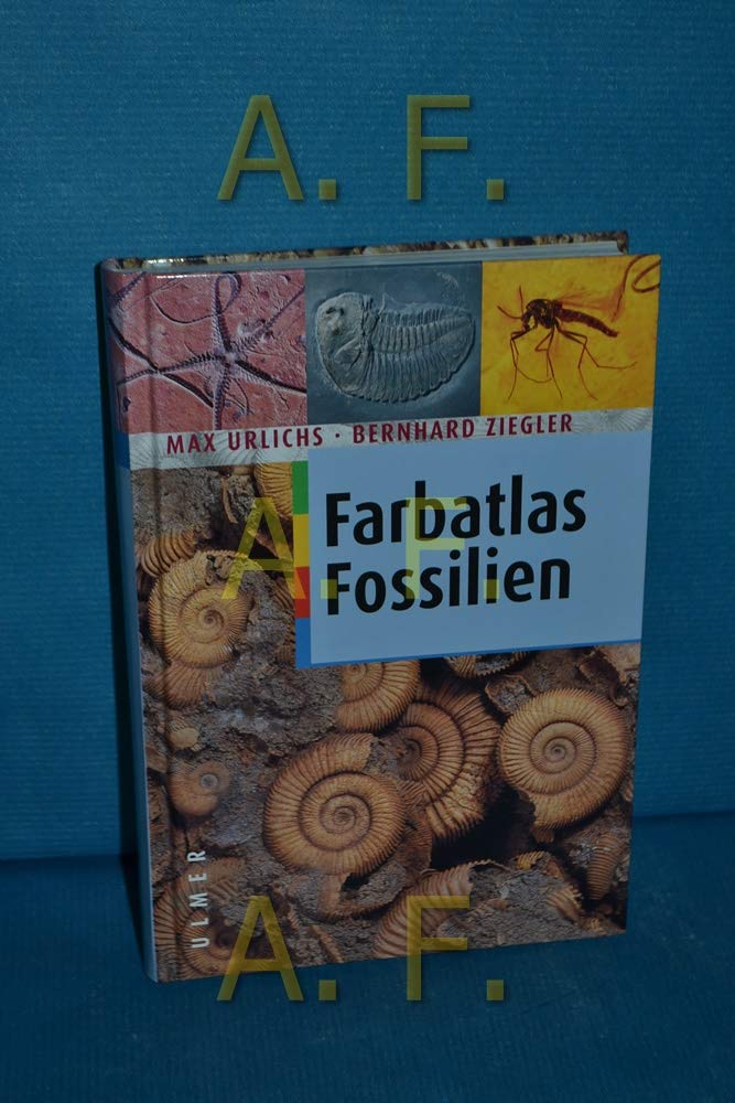 Farbatlas Fossilien Leisure, Home & Garden