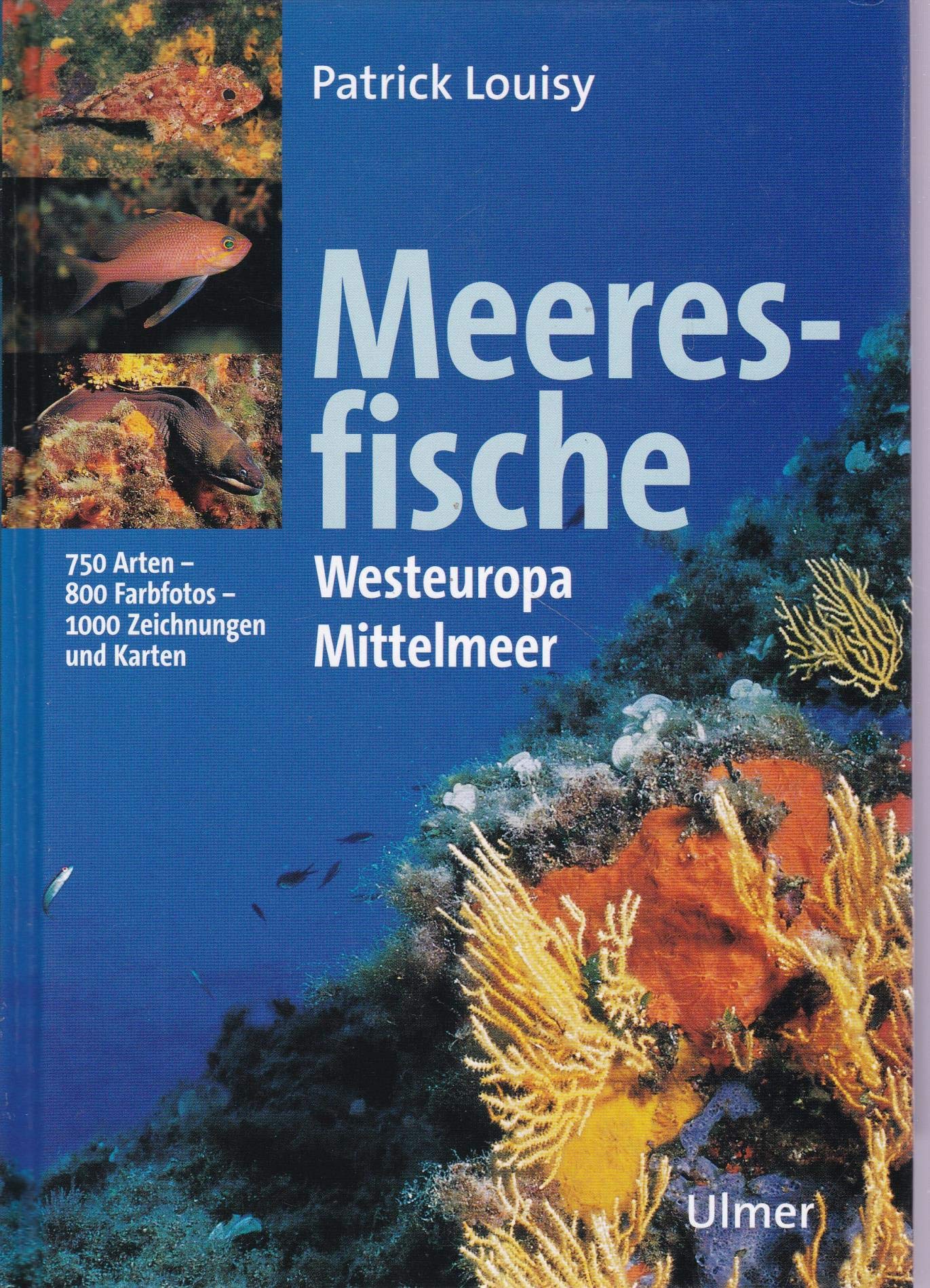 Meeresfische Westeuropas und des Mittelmeeres Leisure, Home & Garden