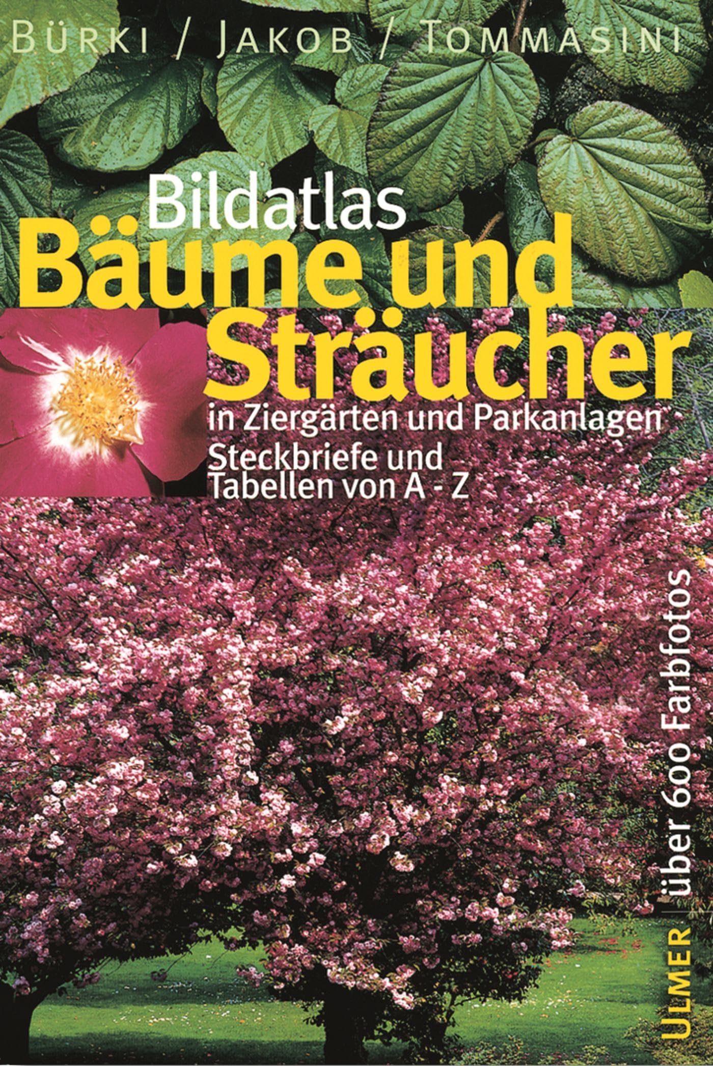 Bildatlas Bäume und Sträucher in Ziergärten und Parkanlagen Garden & Plants