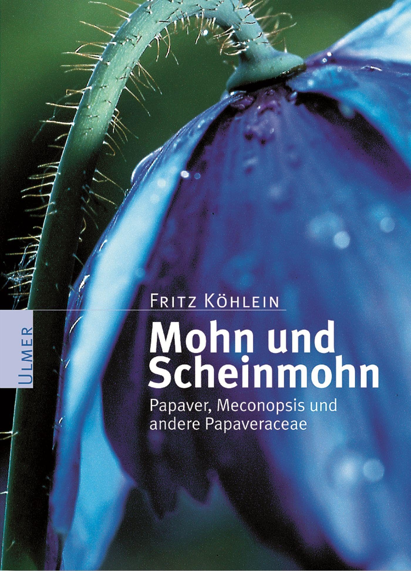 Mohn und Scheinmohn: Papaver, Meconopsis und andere Papaveraceae (Pflanzen-Monographien) Garden & Plants