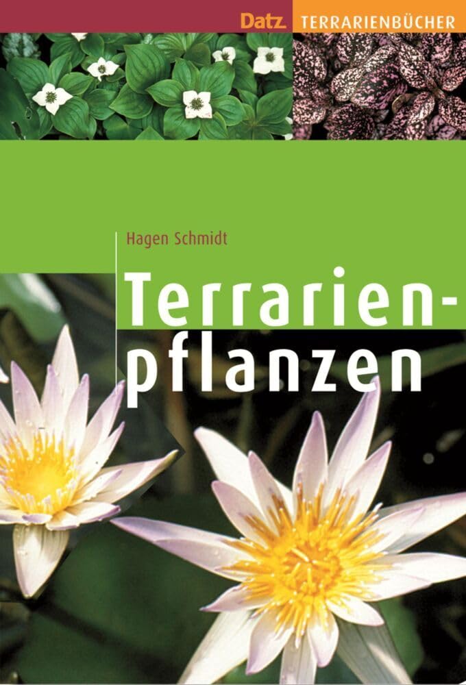 Terrarienpflanzen Pets