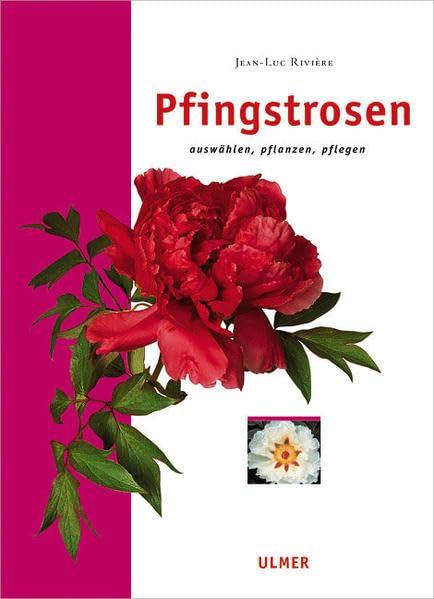 Pfingstrosen: Auswählen, pflanzen, pflegen Garden & Plants