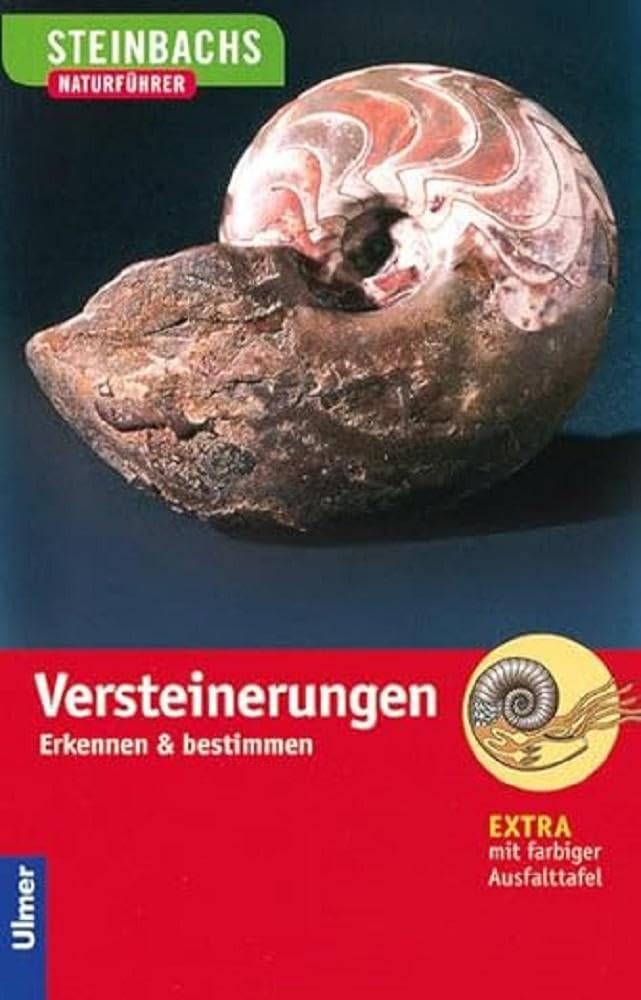 Steinbachs Naturführer Versteinerungen: Erkennen und bestimmen Leisure, Home & Garden