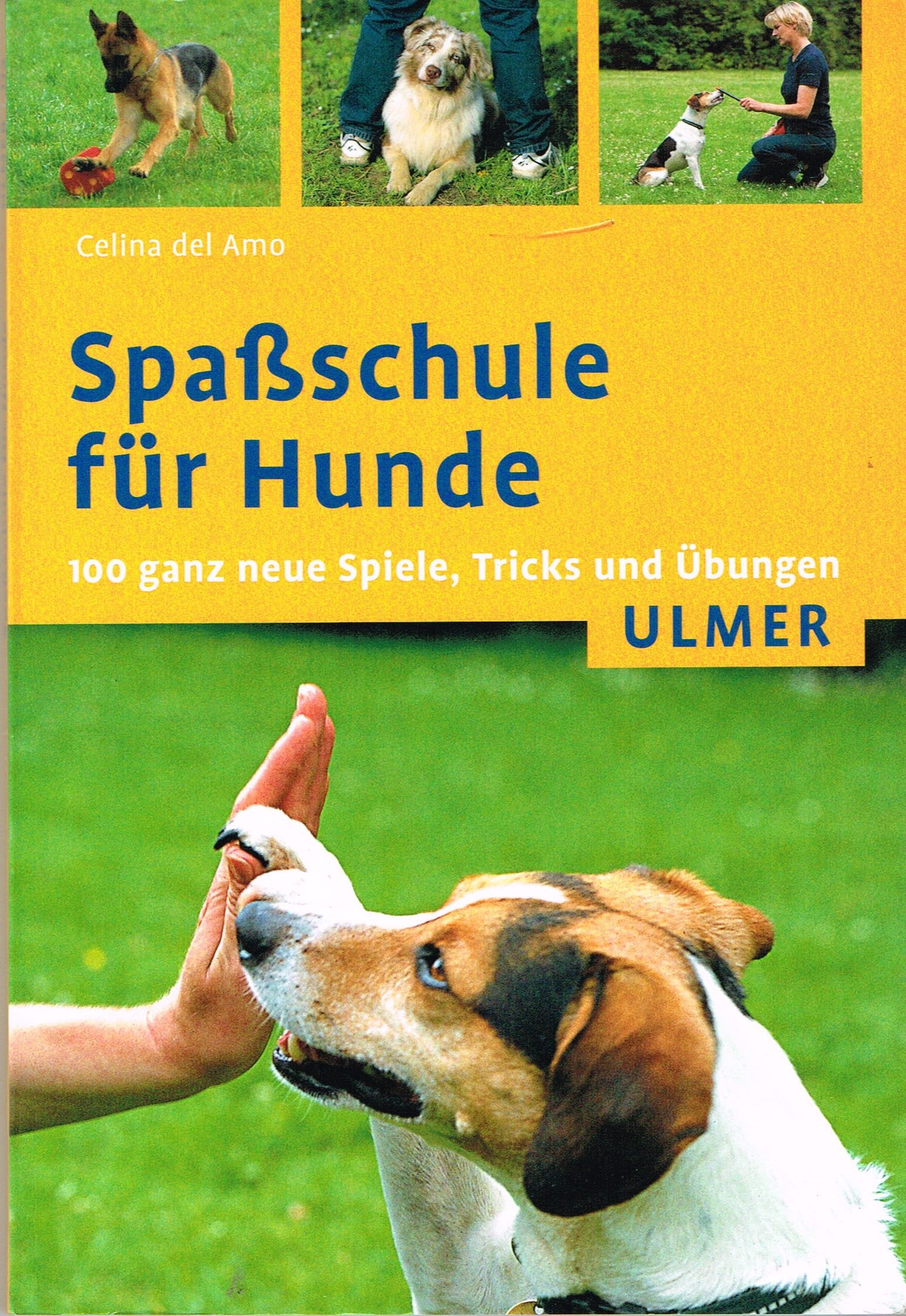 Spaßschule für Hunde: 100 ganz neue Spiele, Tricks und Übungen (Ulmer Taschenbücher) Pets
