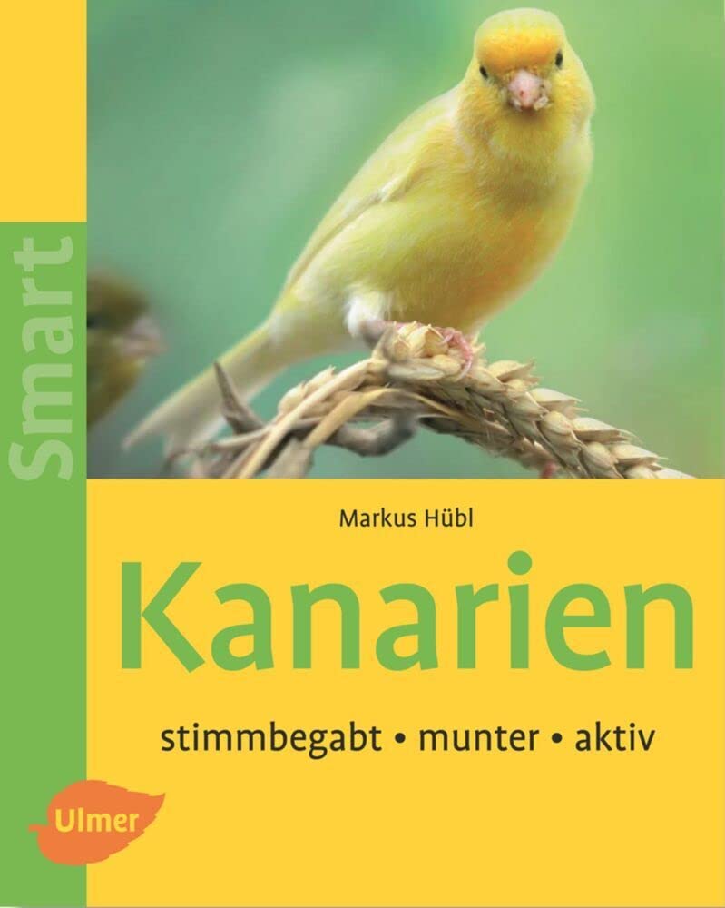 Kanarien Pets