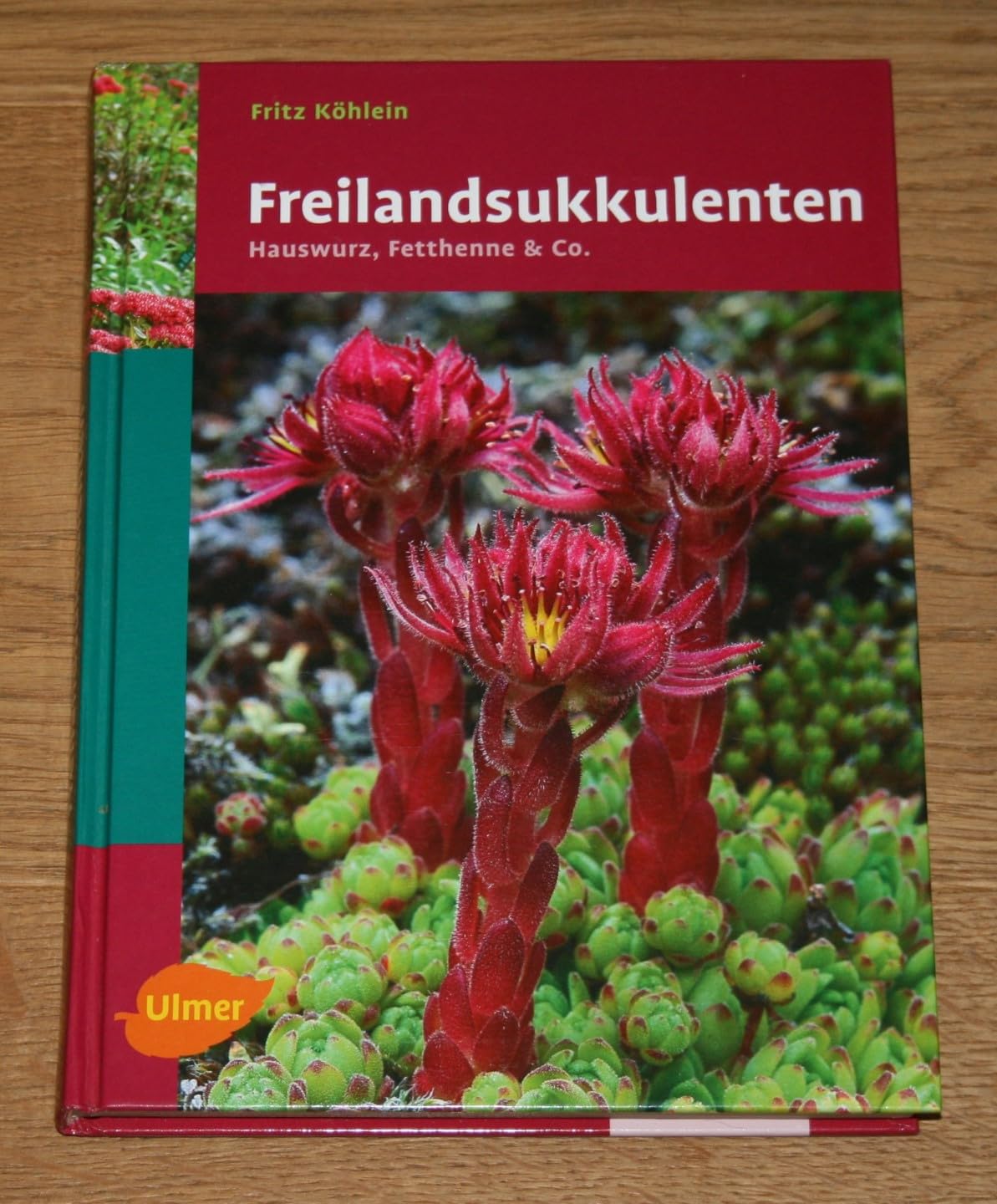 Freilandsukkulenten: Hauswurz, Fetthenne & Co. (Pflanzen-Monographien) Garden & Plants