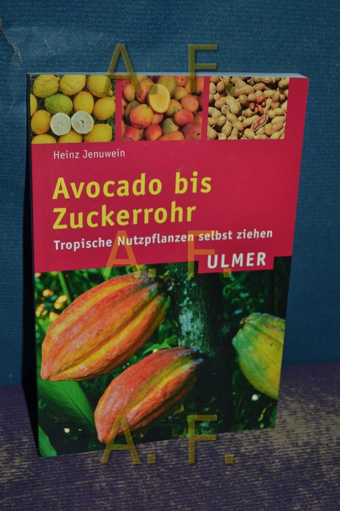 Avocado bis Zuckerrohr Garden & Plants