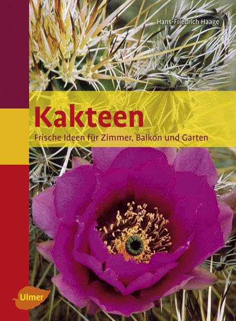 Kakteen: Frische Ideen für Zimmer, Balkon und Garten Garden & Plants