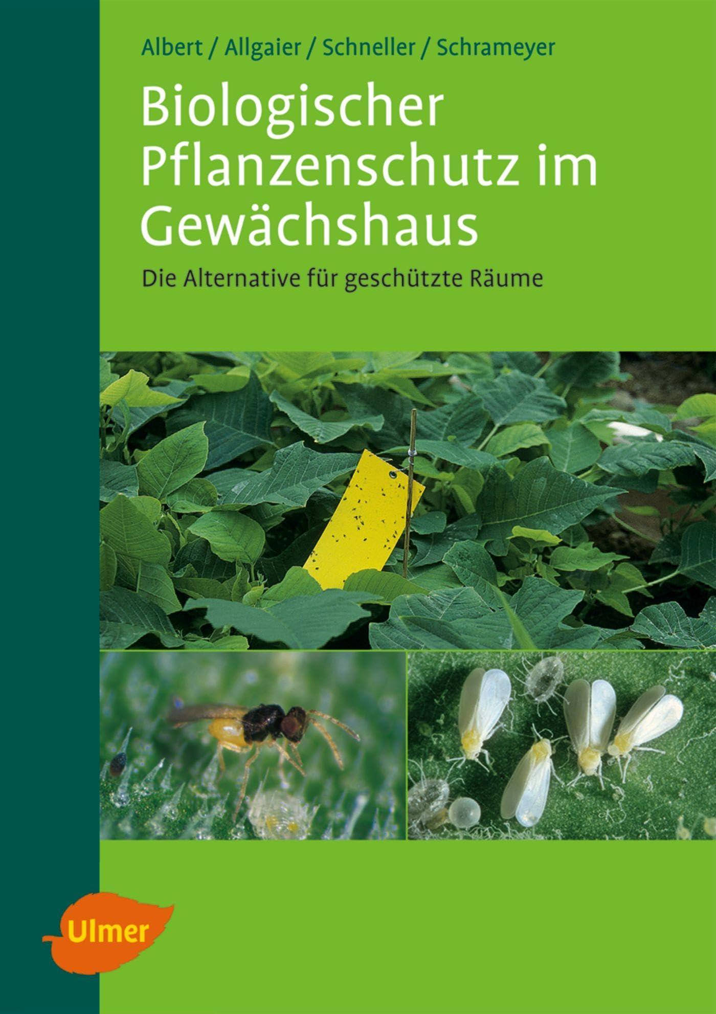 Biologischer Pflanzenschutz im Gewächshaus: Die Alternative für geschützte Räume Mathematics