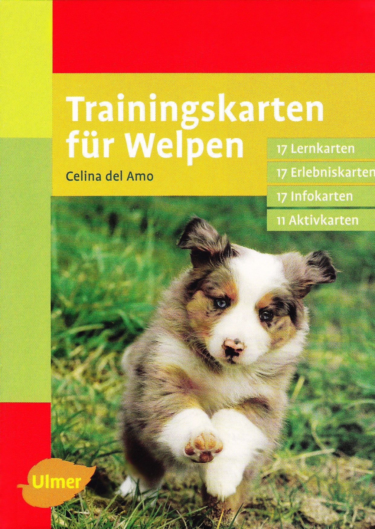 Trainingskarten für Welpen Pets