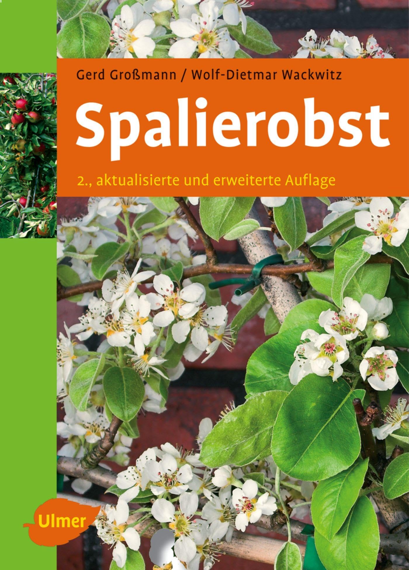 Spalierobst Garden & Plants