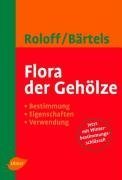 Flora der Gehölze: Bestimmung, Eigenschaften und Verwendung Natural Sciences