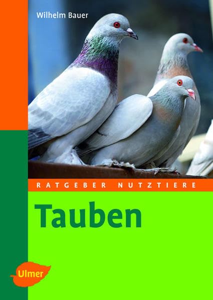 Tauben Pets