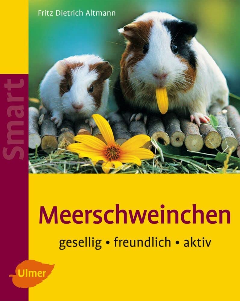 Meerschweinchen Pets