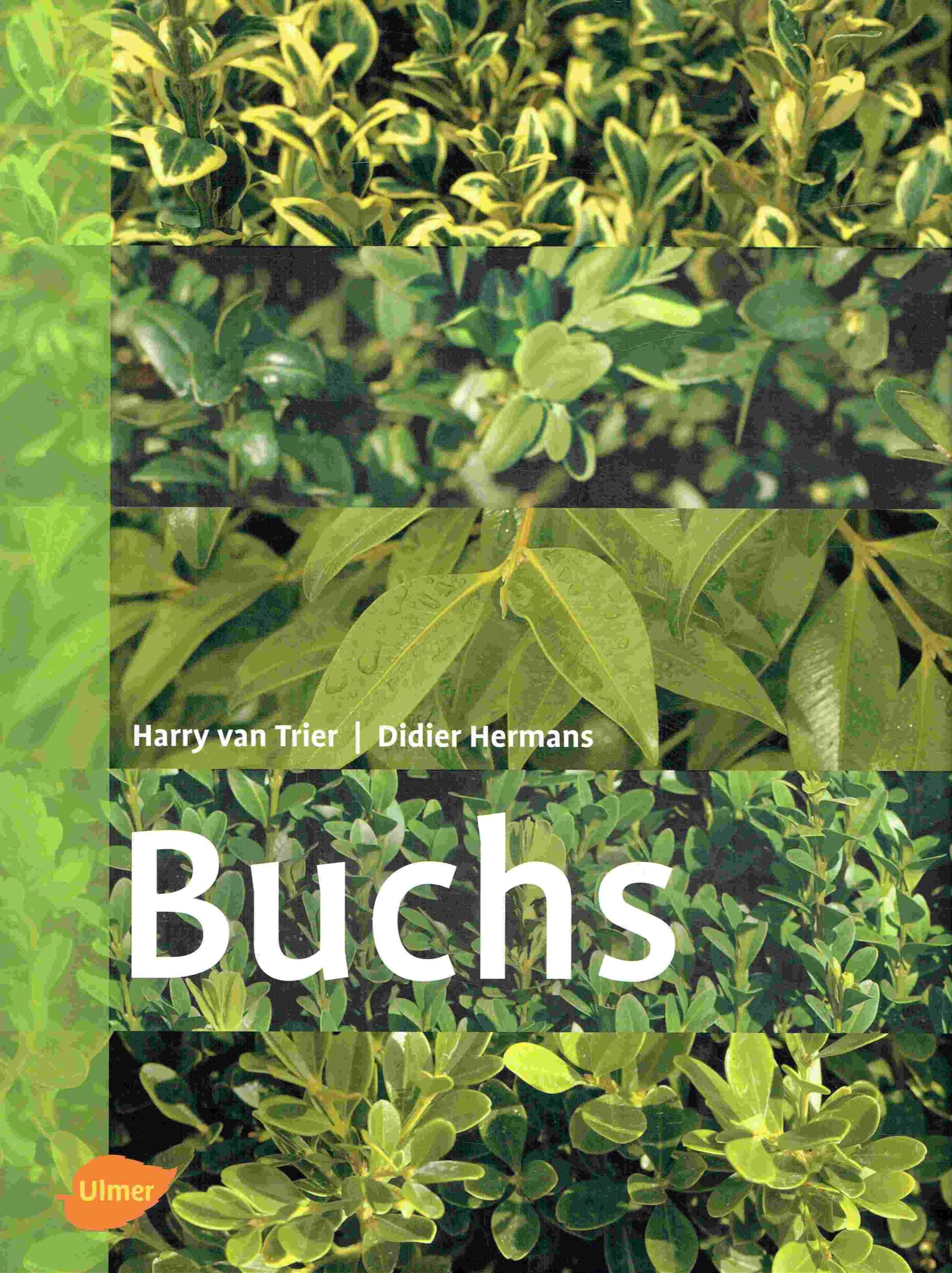 Buchs Garden & Plants