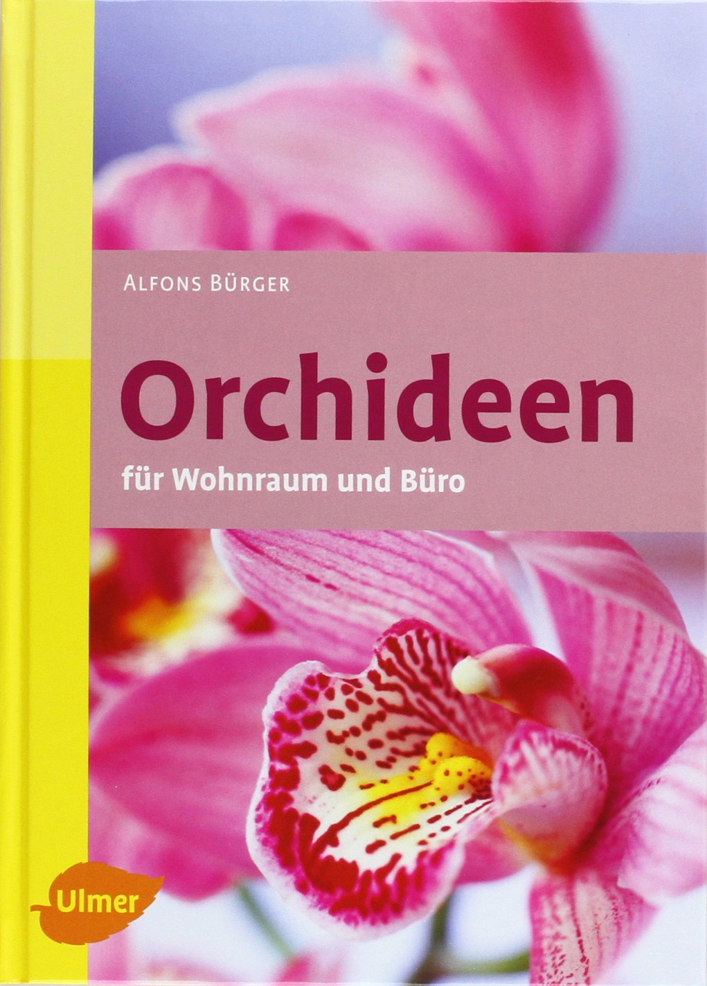 Orchideen: für Wohnraum und Büro Garden & Plants