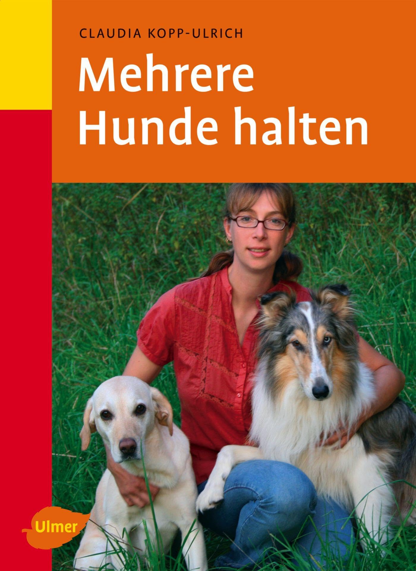 Mehrere Hunde halten Pets