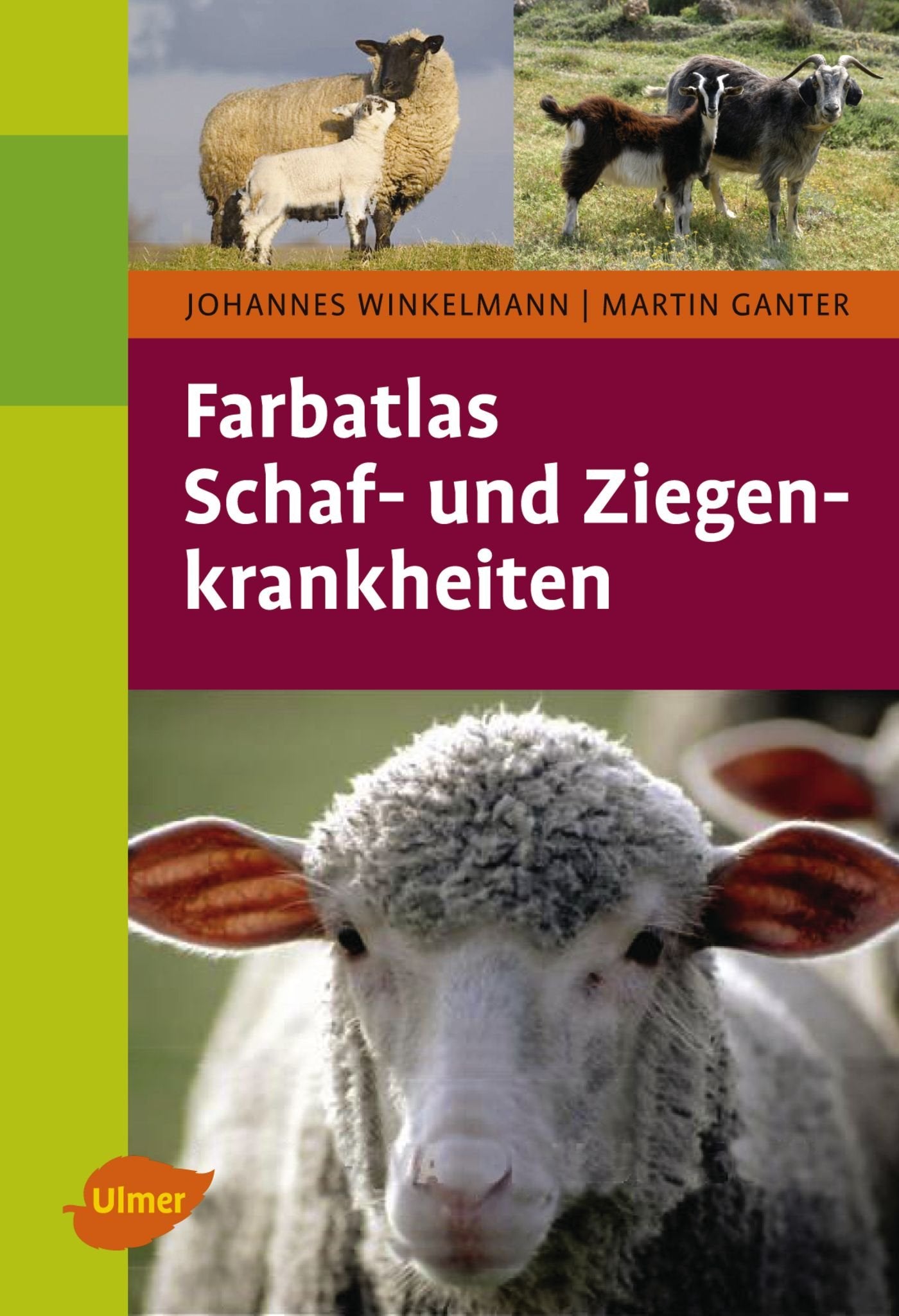 Farbatlas Schaf- und Ziegenkrankheiten Medicine